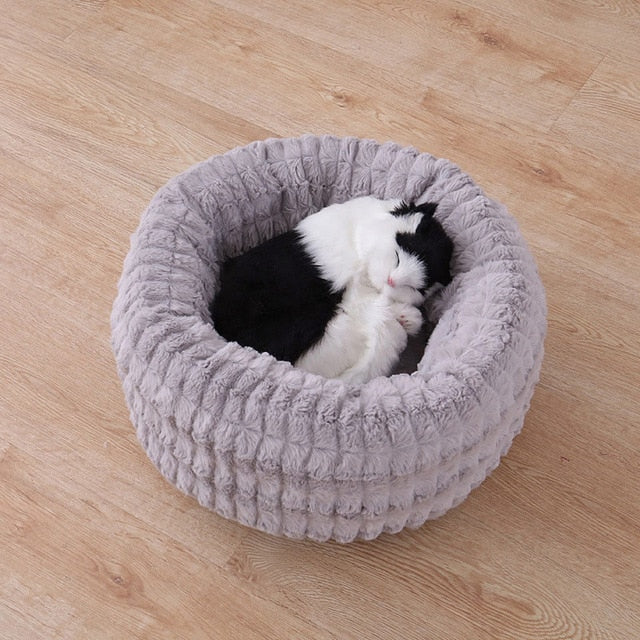 Cat Bed 2