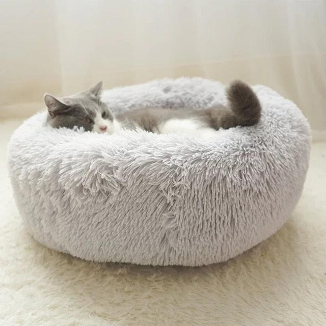 Cat Bed 3