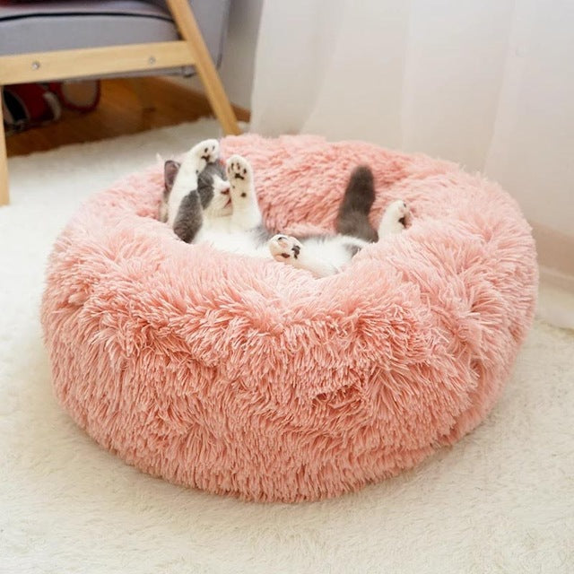 Cat Bed 3